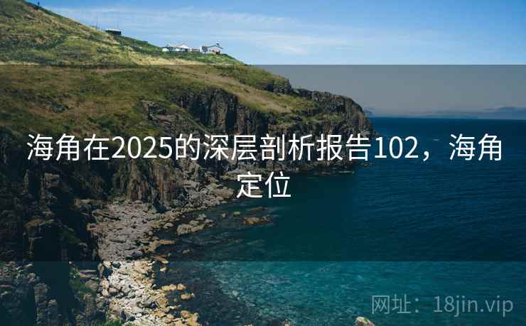 海角在2025的深层剖析报告102，海角定位