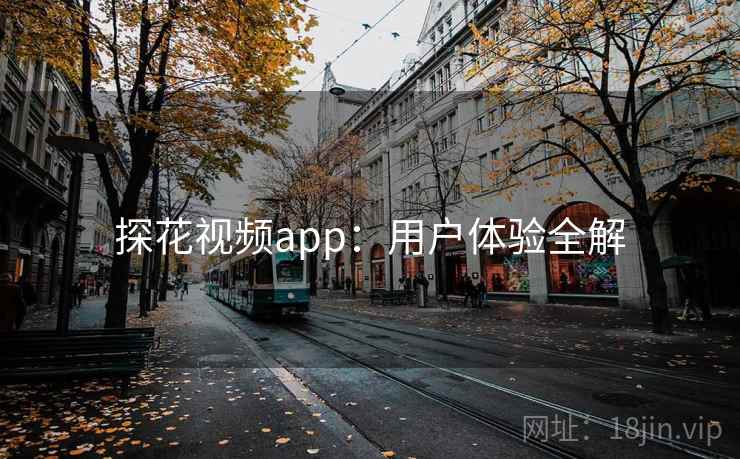 探花视频app：用户体验全解