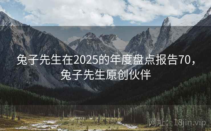 兔子先生在2025的年度盘点报告70，兔子先生原创伙伴