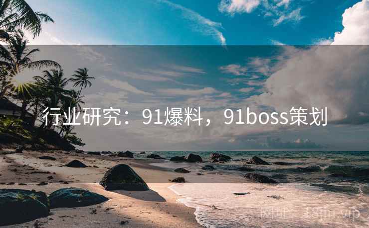 行业研究:91爆料,91boss策划 行业研究:91爆料,91boss策划
