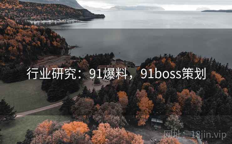 行业研究:91爆料,91boss策划 行业研究:91爆料,91boss策划