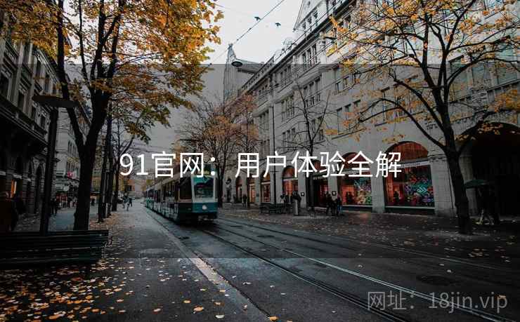 91官网：用户体验全解