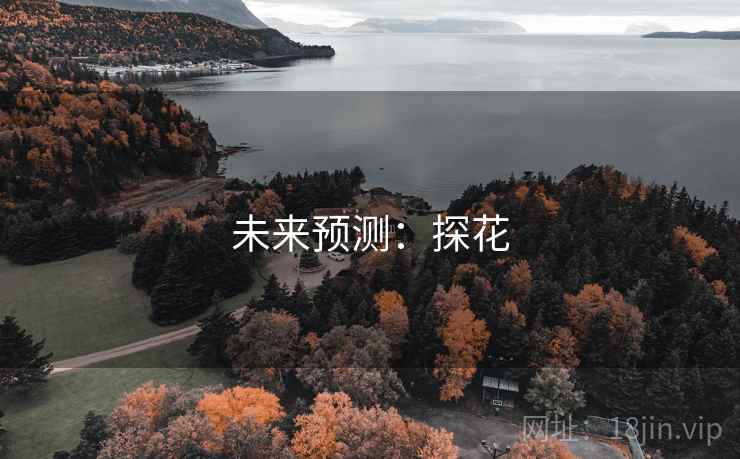 未来预测：探花