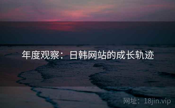 年度观察:日韩网站的成长轨迹 年度观察:日韩网站的成长轨迹
